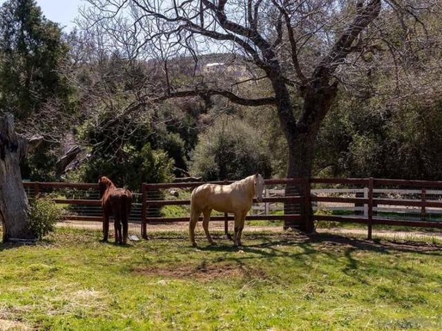 Land for sale in Julian, California