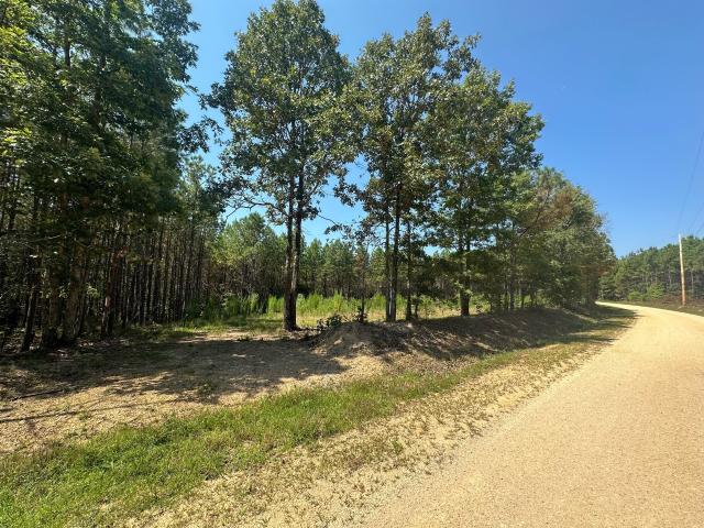 Land for sale in Tennessee