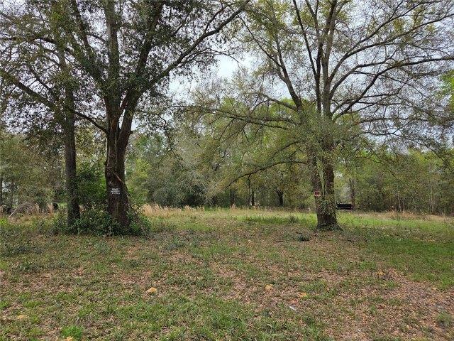 Land for sale in Williston, Levy County