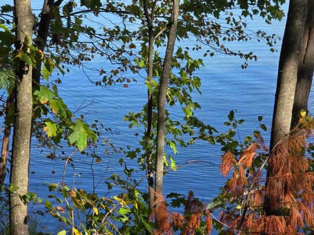 Land for sale in Coldsprings Township, Kalkaska County