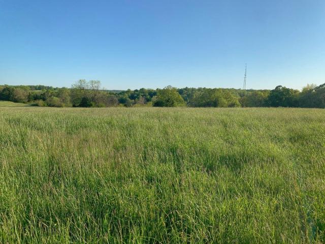 Land for sale in Glidewell, Springfield