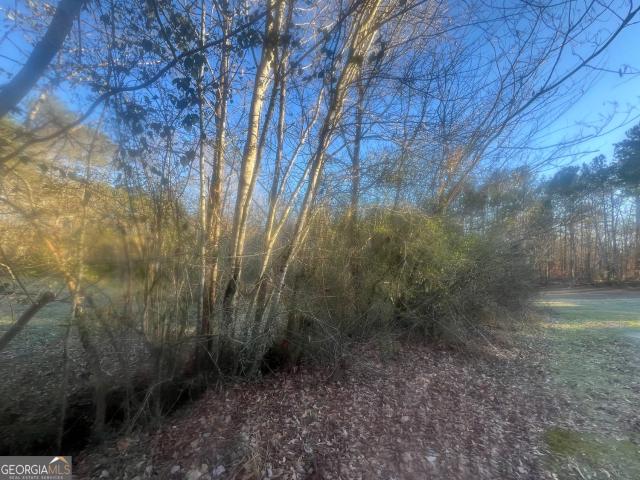Land for sale in Temple, Georgia