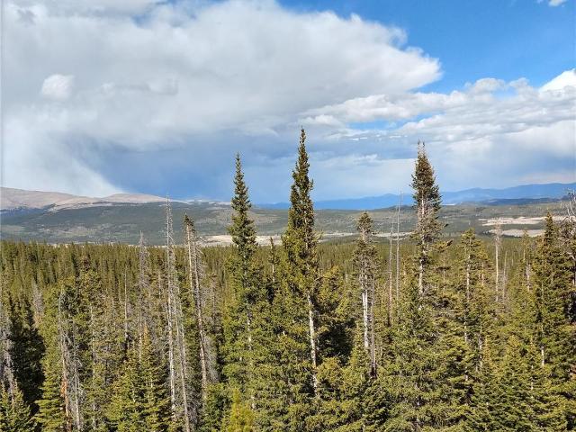 Land for sale in Fairplay, Colorado