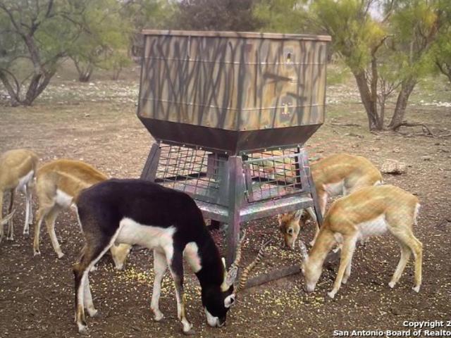 Farm for sale in Eldorado, Texas