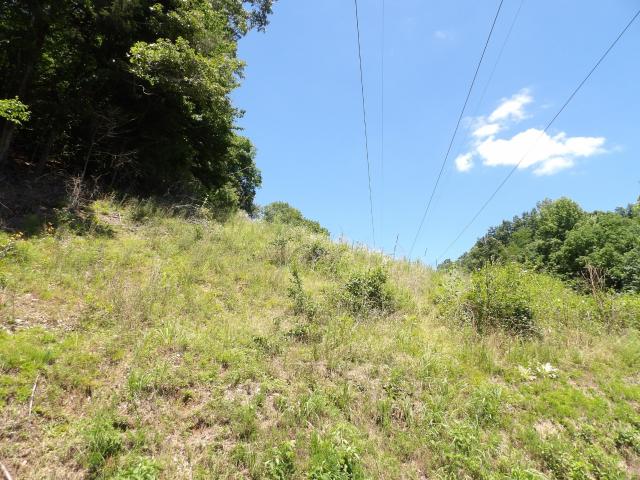Land for sale in Tennessee