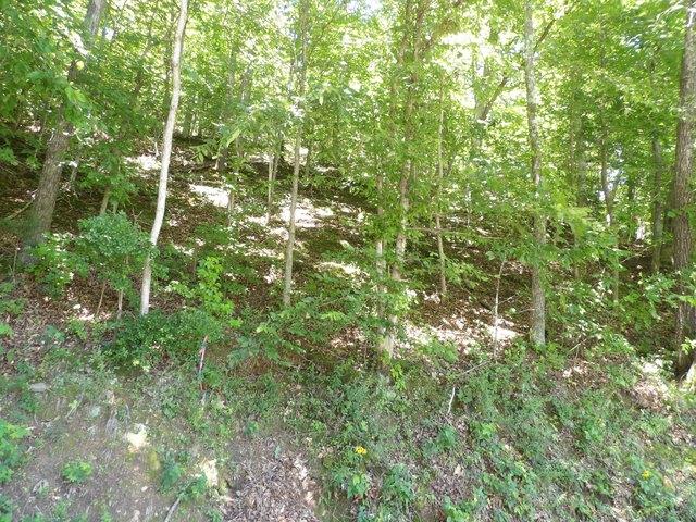 Land for sale in Tennessee