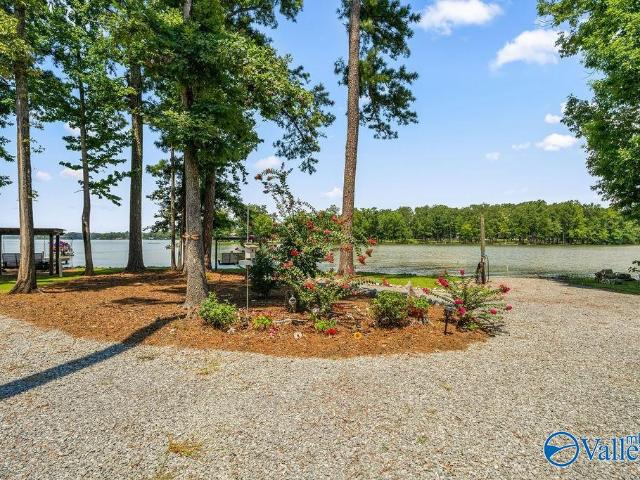 Land for sale in Cedar Bluff, Alabama