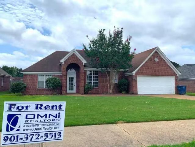 House for rent in Olive Branch