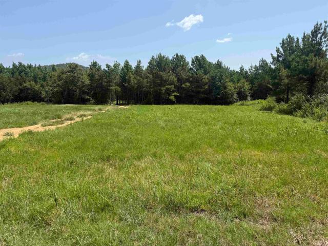 Land for sale in Ark