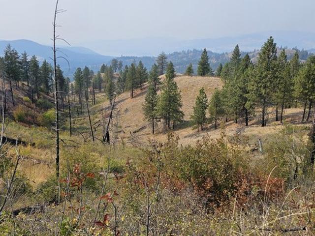 Land for sale in Colville, Washington