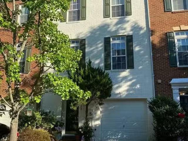 House for rent in Alexandria House for rent in Alexandria