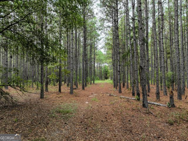 Land for sale in Macon, Twiggs County