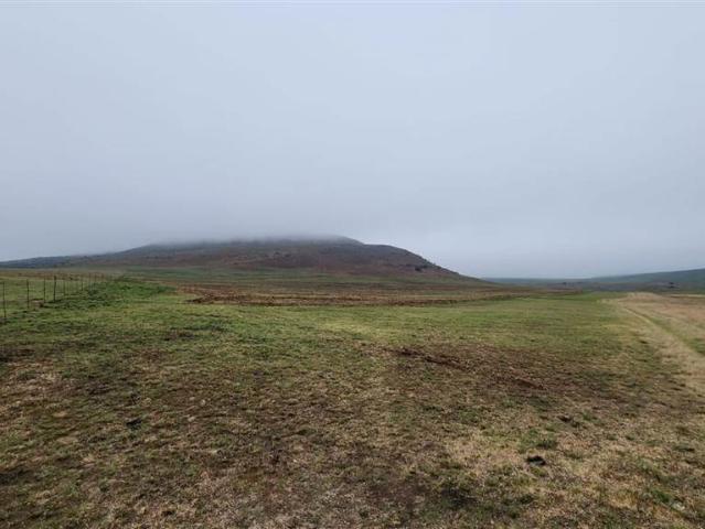 Farm for sale in Free State