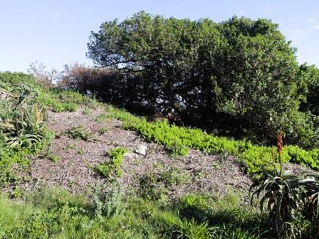 Land for sale in Cape St Francis, Eastern Cape