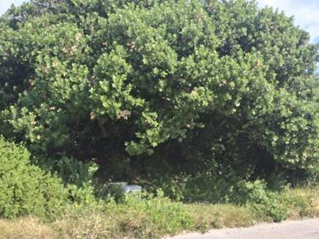 Land for sale in Cape St Francis, Eastern Cape