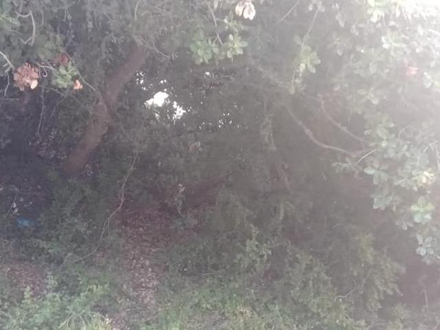 Land for sale in Cape St Francis, Eastern Cape