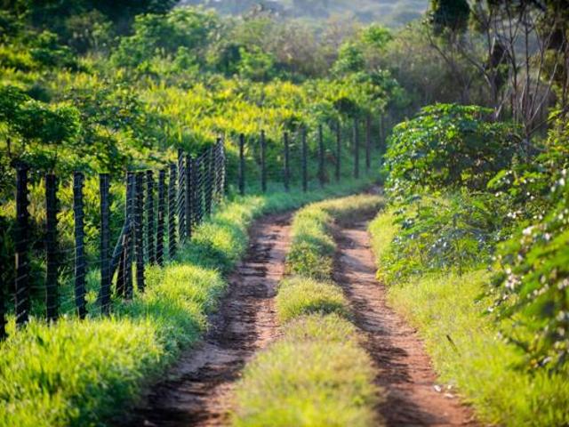 Land for sale in Princess Grant, Kwazulu-natal