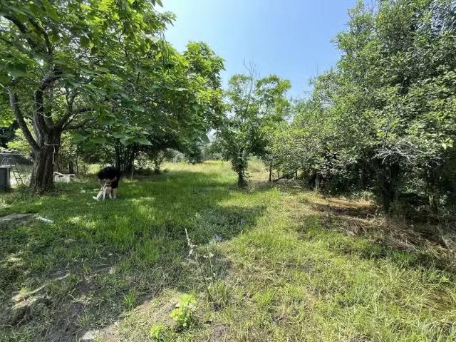 House for rent in Corsicana
