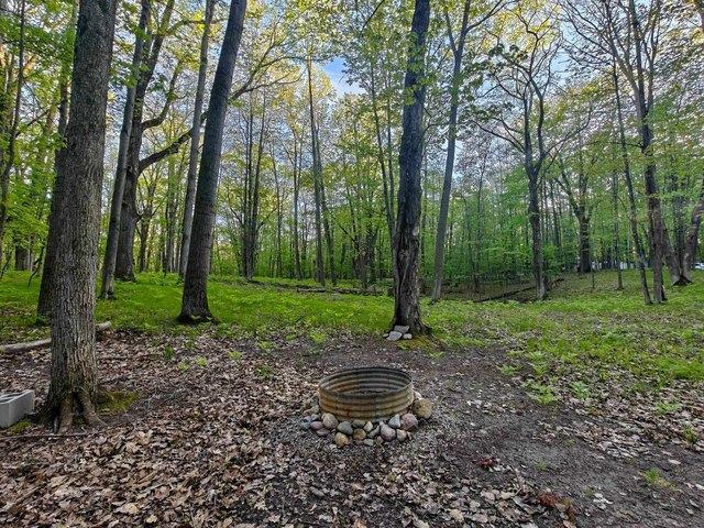 Land for sale in Clare, Michigan