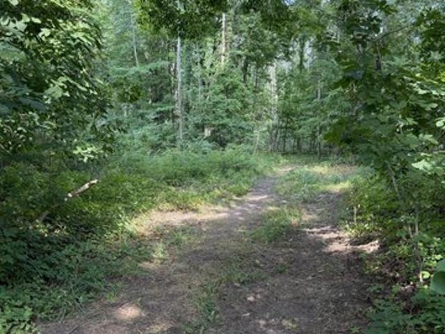 Land for sale in Michigan