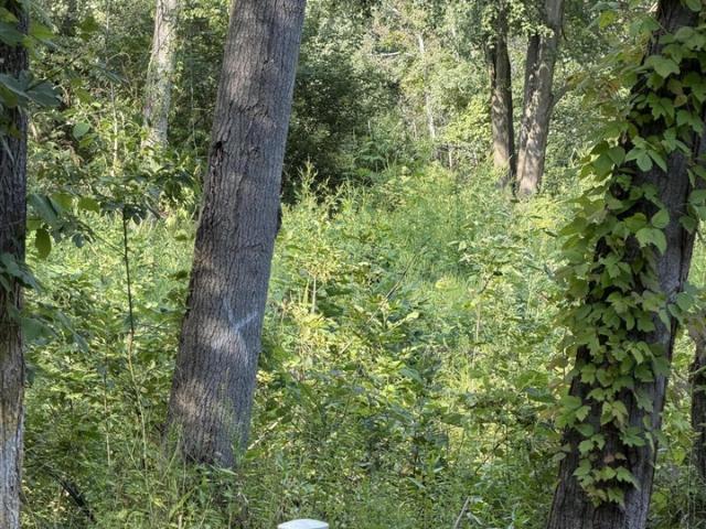 Land for sale in Michigan