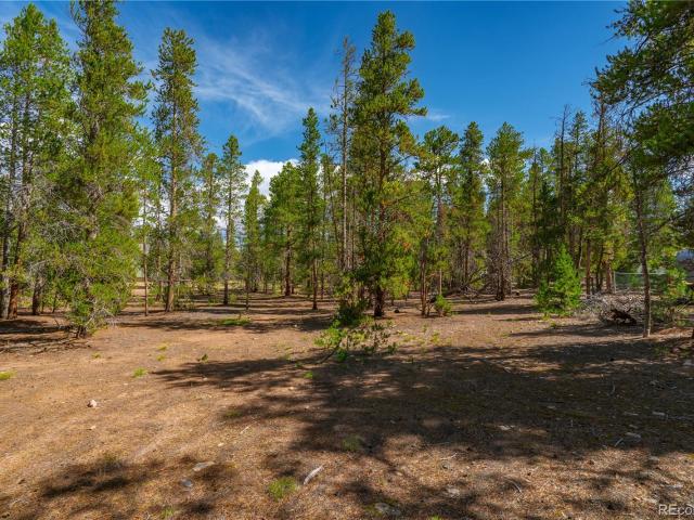 Land for sale in Leadville, Colorado