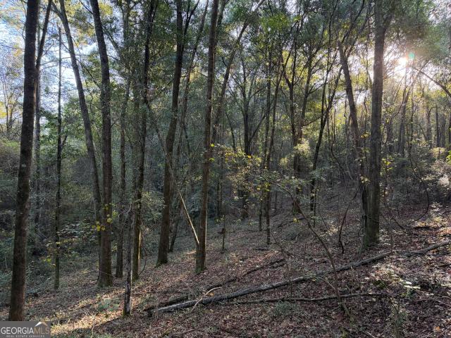 Land for sale in Thalean, Americus