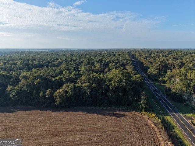 Land for sale in Americus, Sumter County