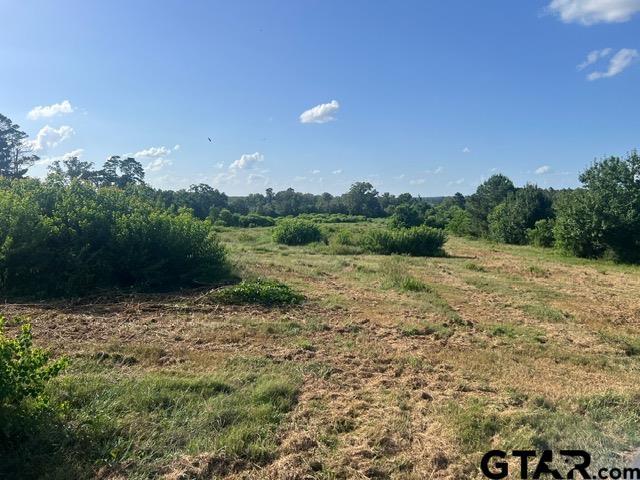 Property for sale in Shelby, Texas