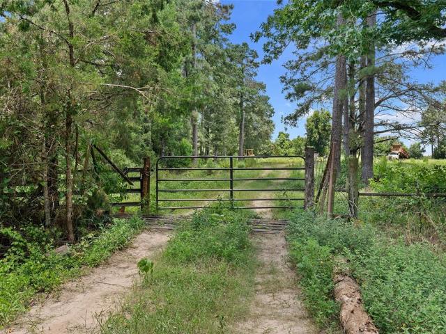 Land for sale in Tenaha, Shelby County