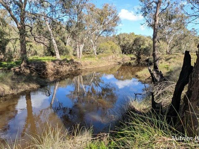 Acreage for sale in Orange Springs, Western Australia