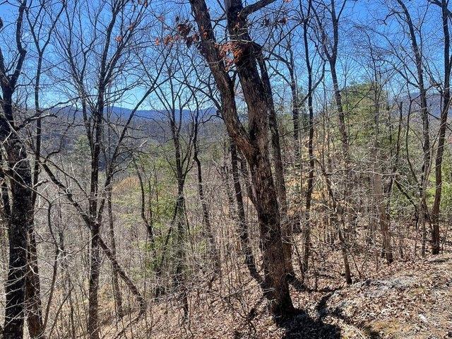 Land for sale in Bryson City, North Carolina