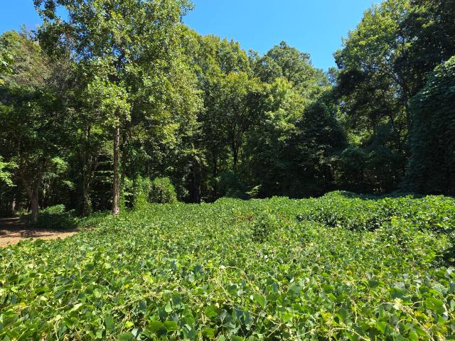 Land for sale in Franklinton, Franklin County