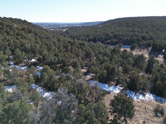 Land for sale in Tijeras, Bernalillo County