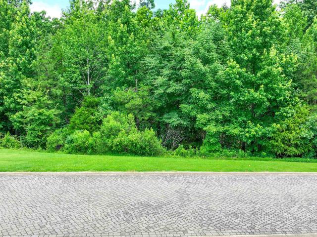 Land for sale in Tennessee