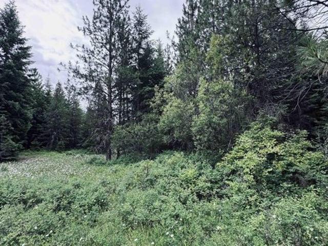 Land for sale in Weippe, Idaho
