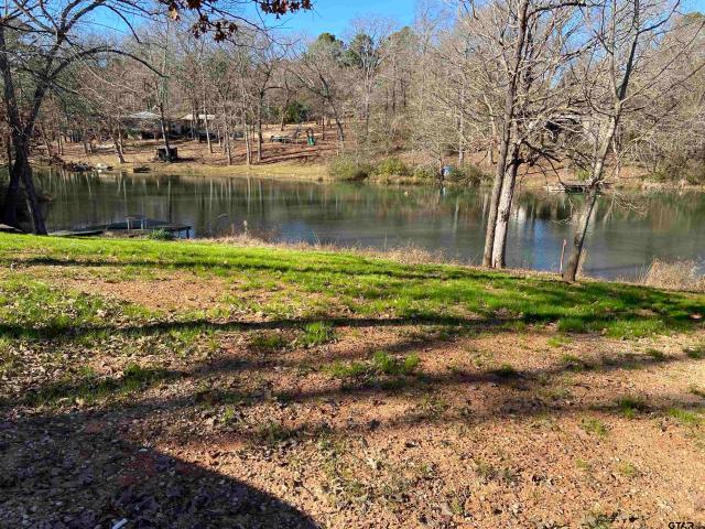 House for sale in Kilgore, Texas