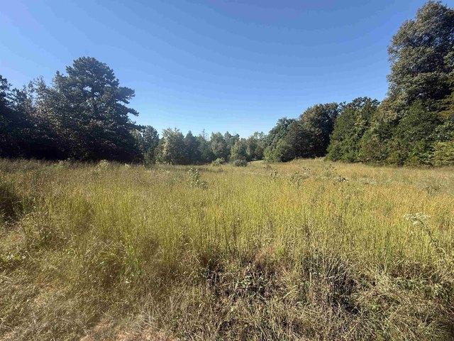 Land for sale in Calico Rock, Izard County