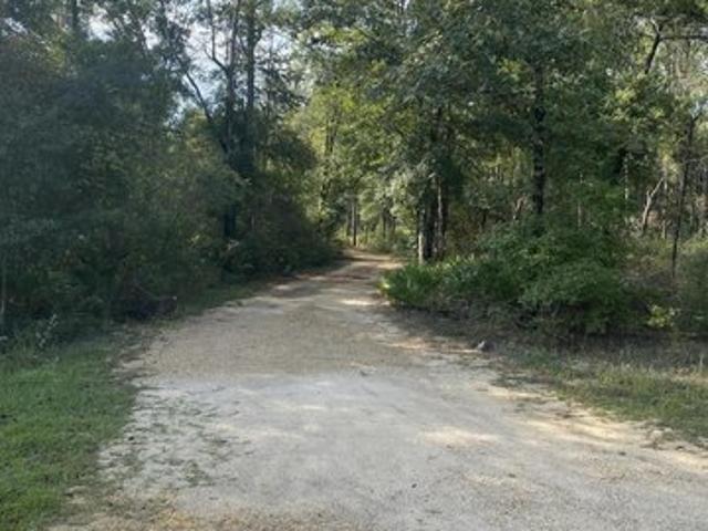 Land for sale in Perkinston, Stone County