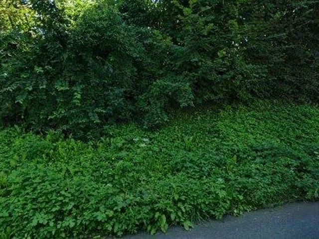 Apartment mieten in Garsten, Oberösterreich