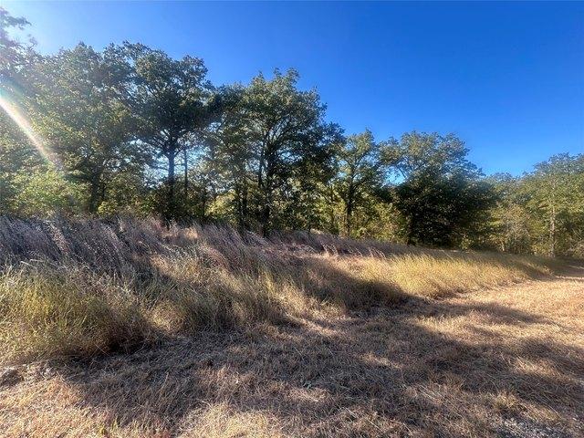 Land for sale in Henderson, Texas