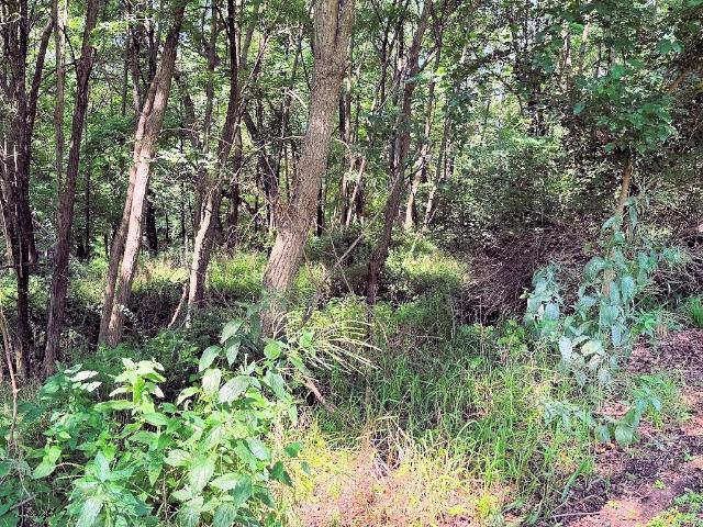 Land for sale in Lake Delton, Wisconsin