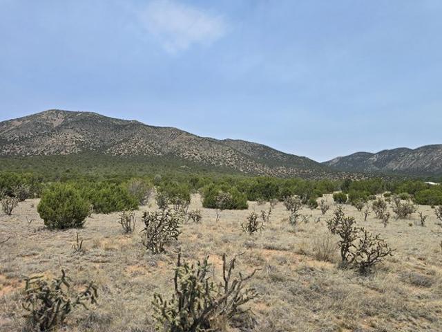 Land for sale in Edgewood, New Mexico