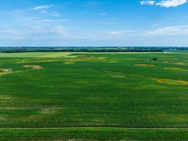 Land for sale in Ransom, North Dakota