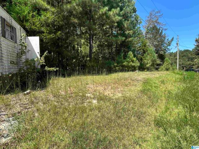 Land for sale in Ohatchee, Calhoun County