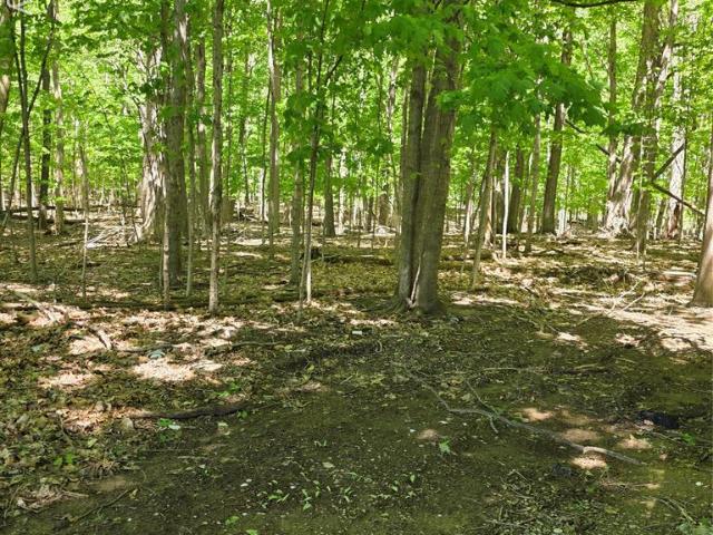 House for sale in Marlette