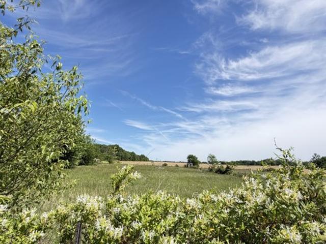 Land for sale in Tennessee