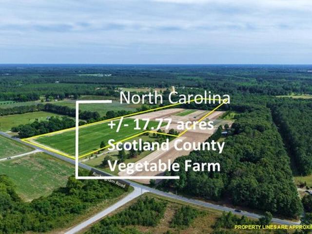 Farm for sale in Scotland, North Carolina