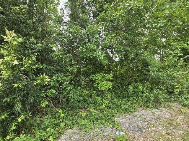 Land for sale in Harris, Texas