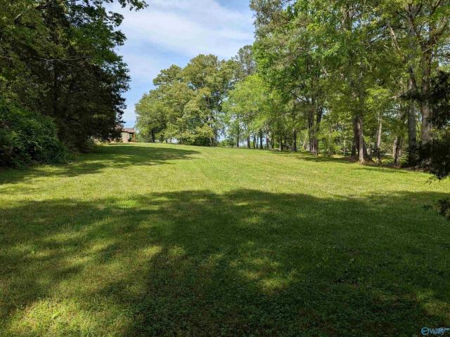 Land for sale in Flat Rock, Alabama